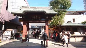 菊まつり高岩寺